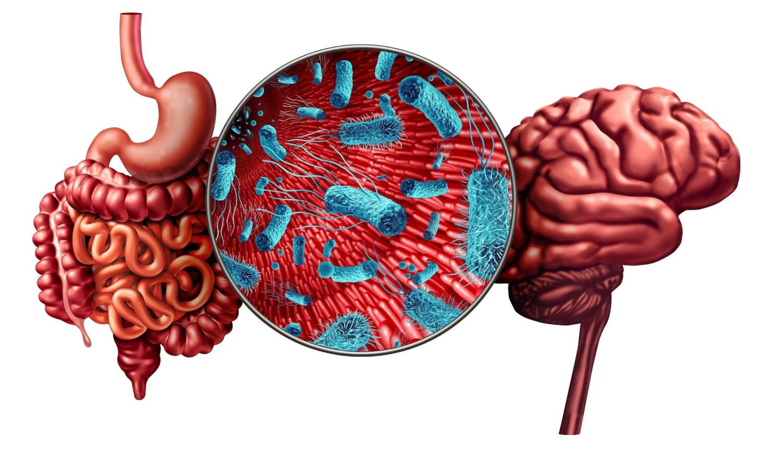The Gut–Brain–Skin Axis: How Diet and Gut Health Influence Mood, Skin, and Aging