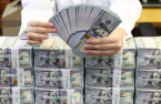 Won slides to pre-intervention levels; customs office monitors exporters’ dollar flows