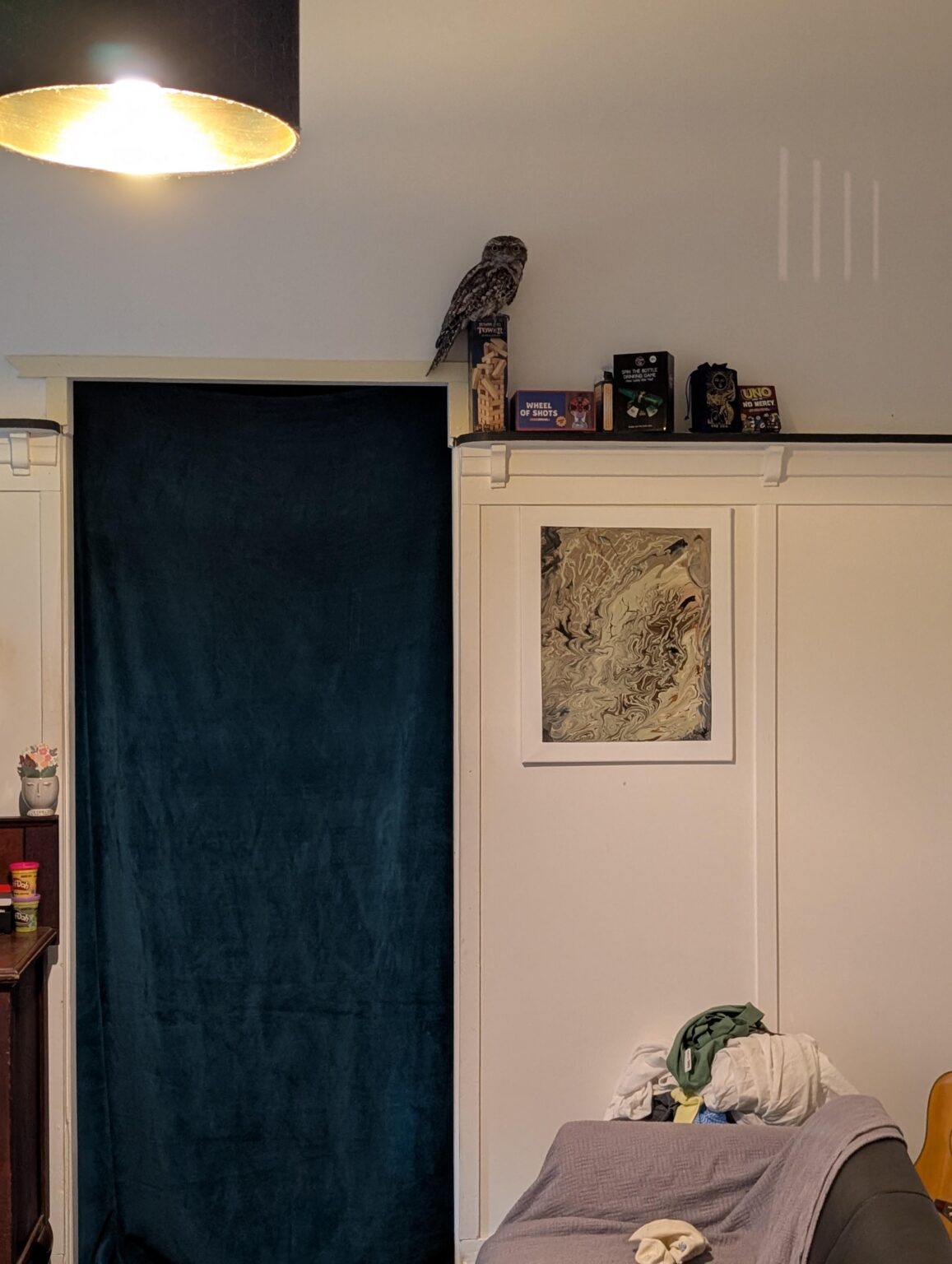 Help with tawny frog mouth