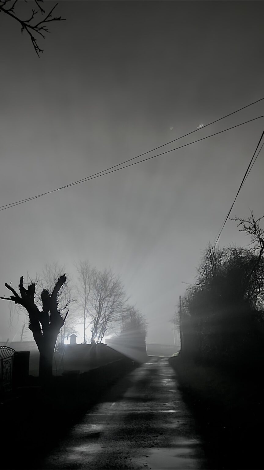 Night in January 2026.