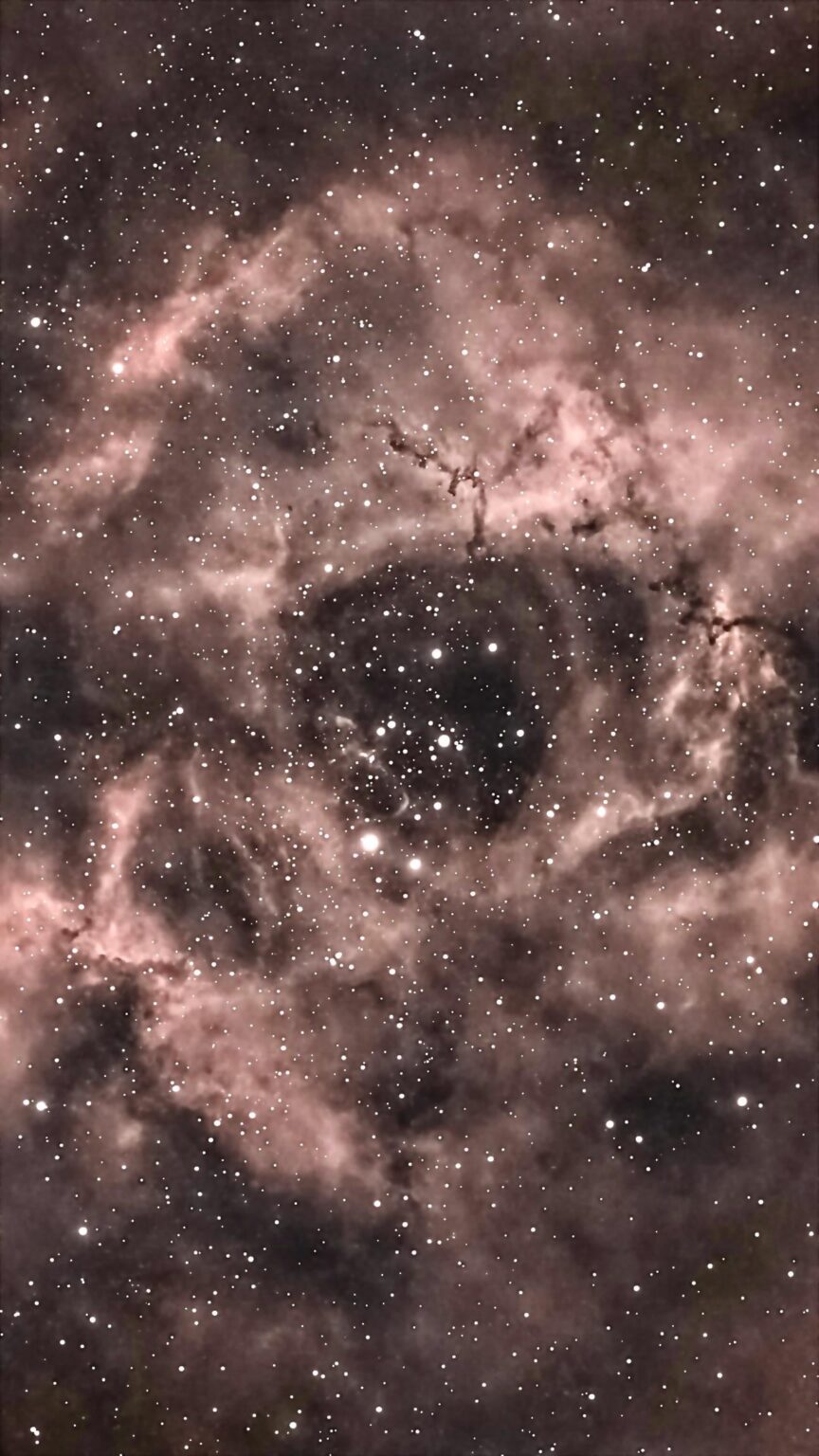 This Week's Best Photo From My Seestar S50 - The Rosette Nebula.
