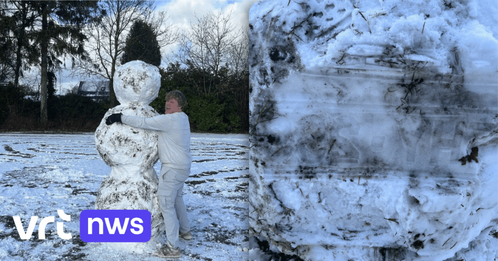 Car driver deliberately smashes snowman from KLJ Halle-Zoersel: "License plate is printed in snow"
