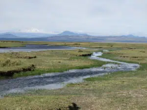 Laguna Llancanelo. Foto: Fundación Humedales. 