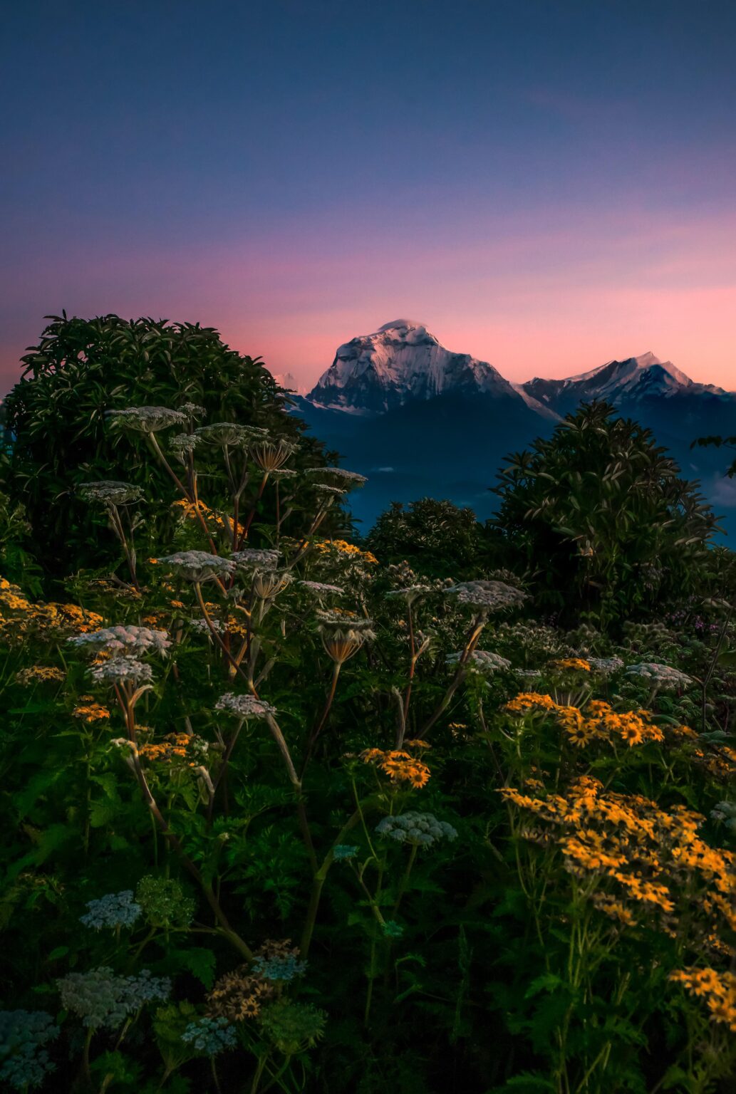 Mount Dhaulagiri as seen from Poonhill, Nepal
