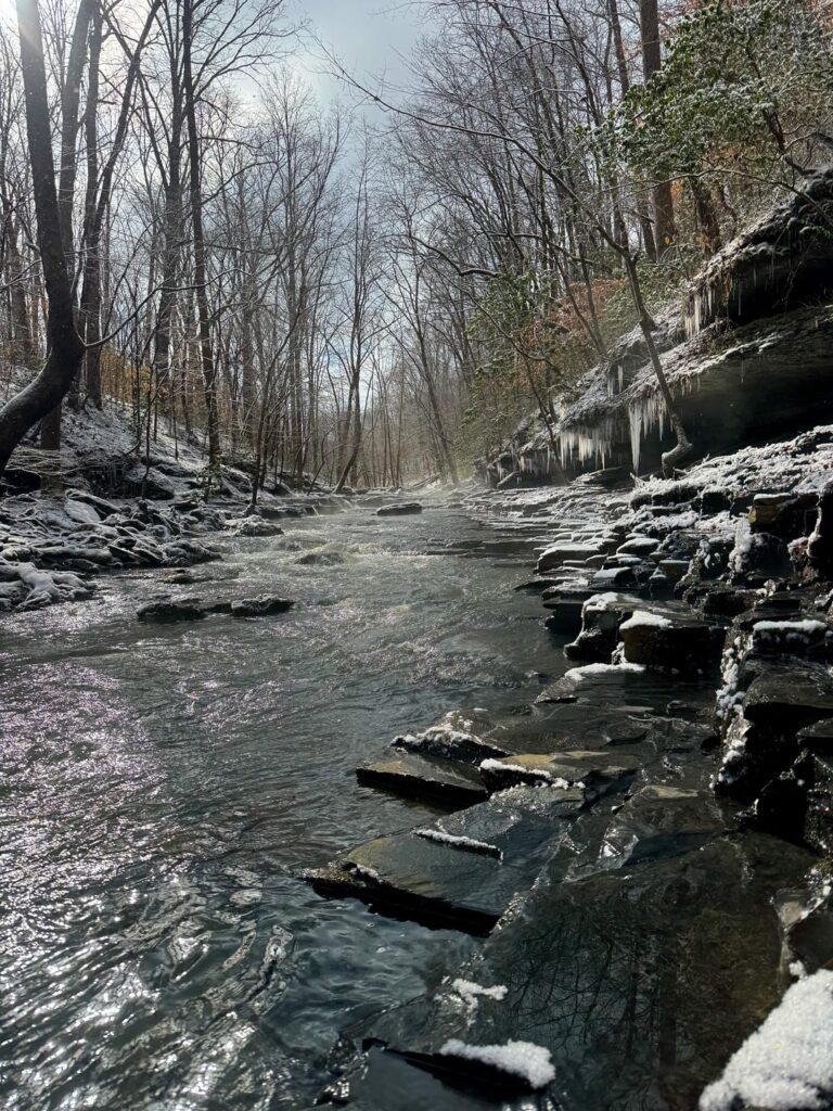 January mystique on a sunny morning