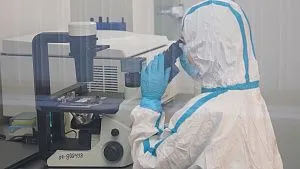 Russian university develops technology for restoring eardrum using patient's own cells