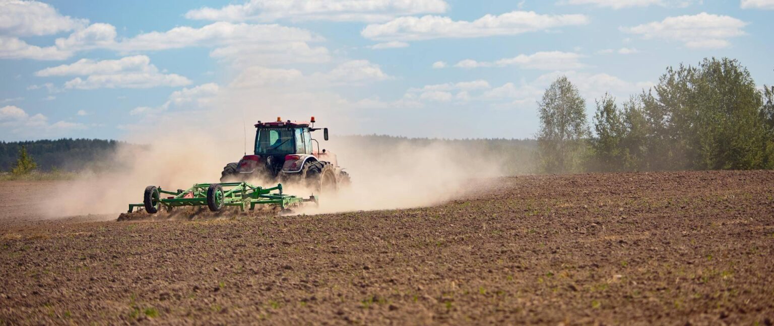 One third of farmers' income in Poland comes from subsidies