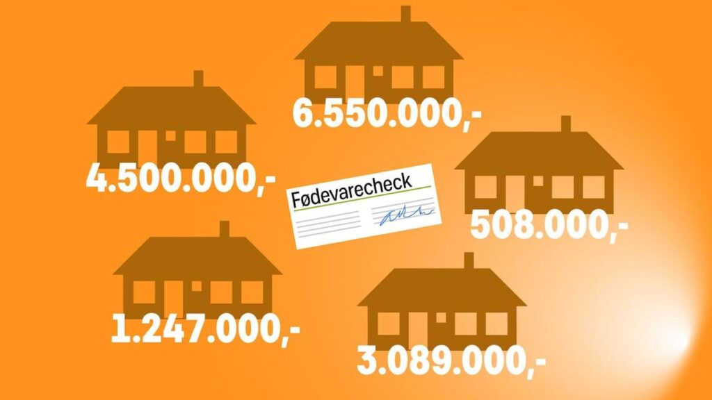 Erland owns apartments worth 16 million. Now he gets a food check so he can better afford food