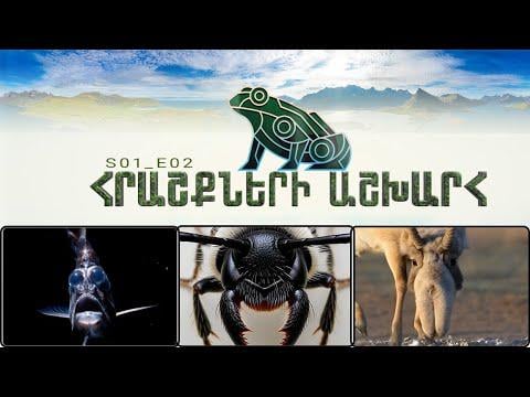 New education entertainment video in Armenian language !