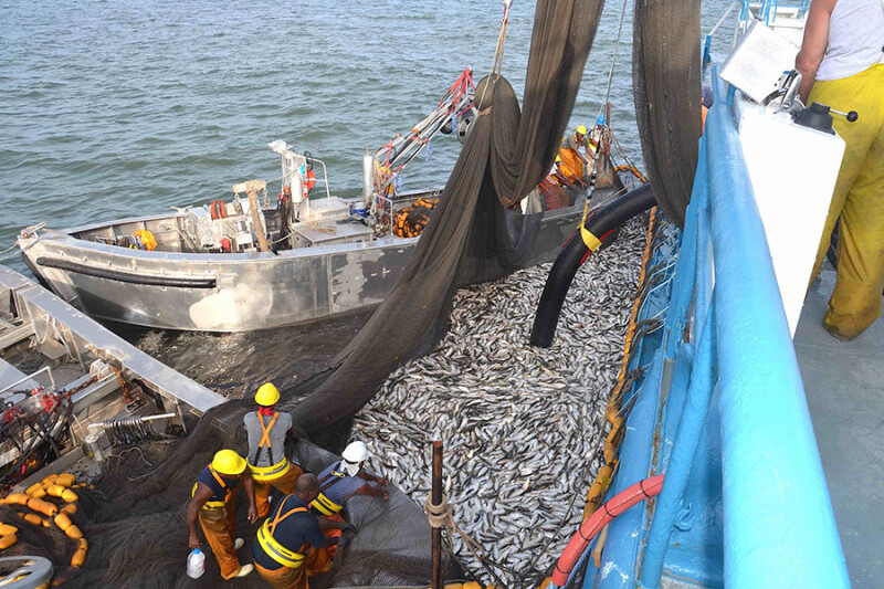 Science, not assumption, in Louisiana menhaden debate National Fisherman