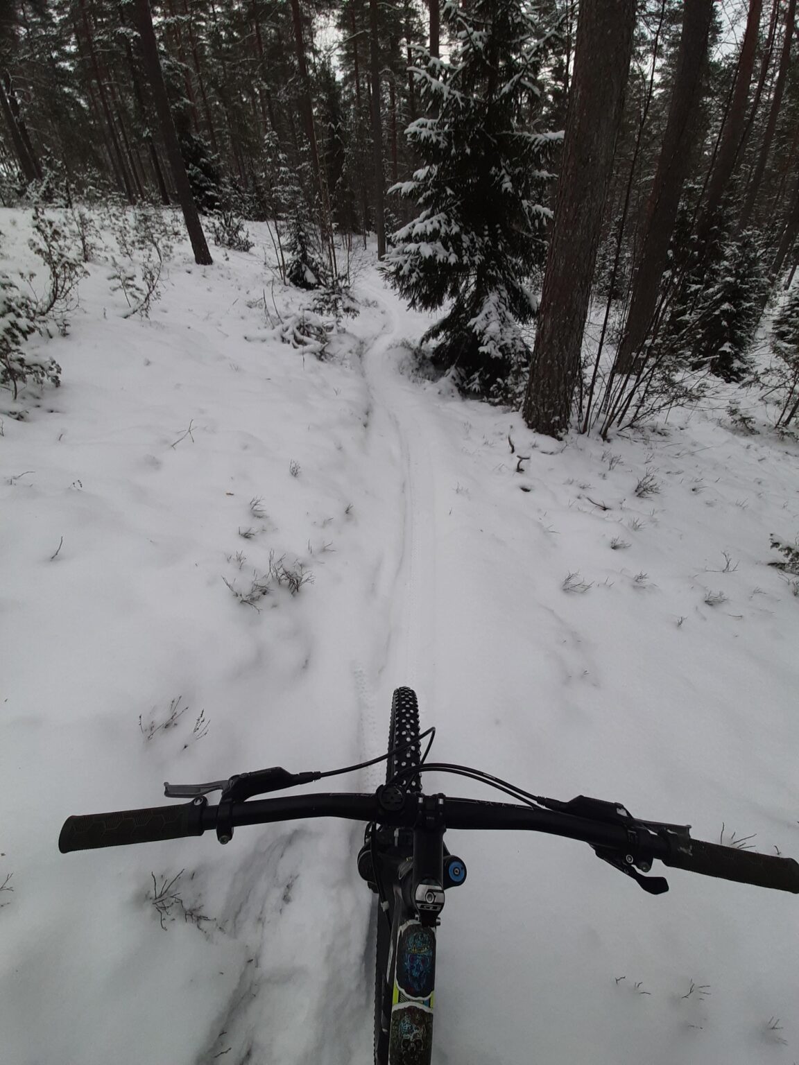 Salmon mtb rrail