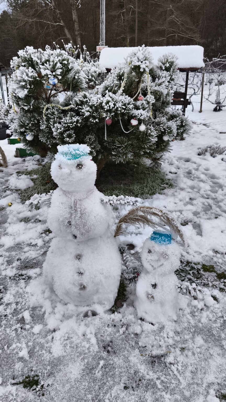 Name suggestions for two cute snowmen (at the Radvanje pond)