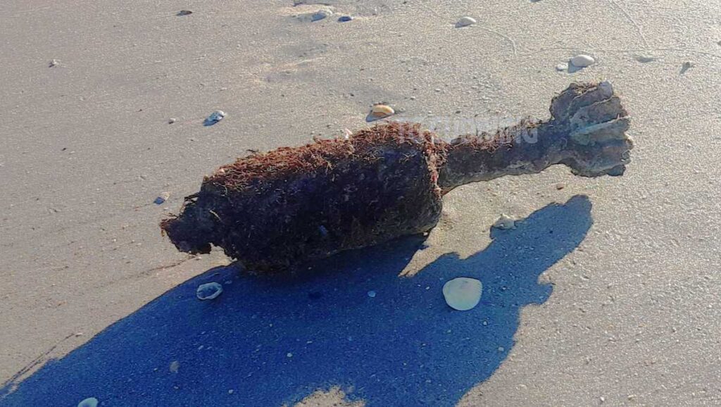 Experienced diving instructor finds World War II mortar in shallow water in Fort Pierce