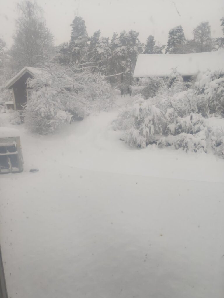 Unusual amount of snow this winter