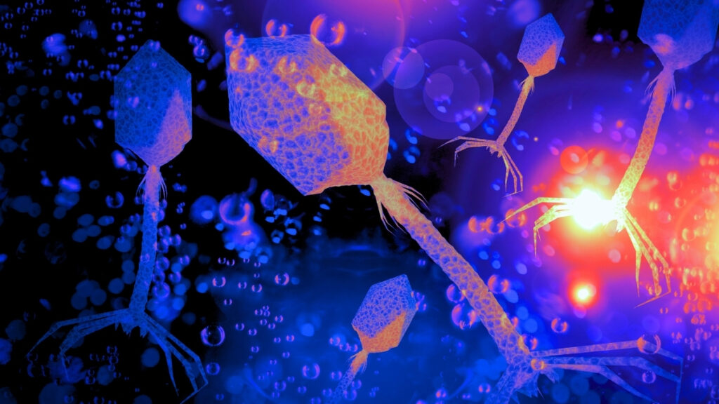 Viruses Play a Critical Role in The Ocean’s Food Web, Study Finds : ScienceAlert Viruses Play a Critical Role in The Ocean's Food Web, Study Finds : ScienceAlert