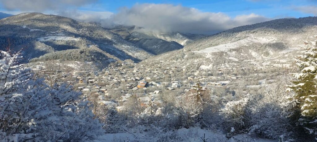 Some of my favourite photos I took during the winter