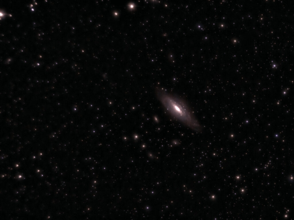 2025 in Citizen Science – The Biggest Year Yet! 2025 in Citizen Science – The Biggest Year Yet!