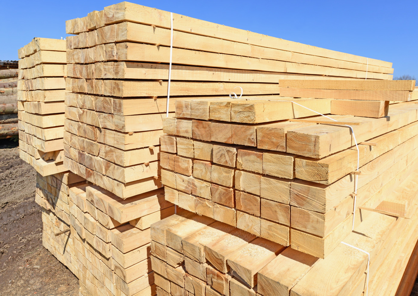 Exports of lumber from Finland to Algeria contract 31% in November