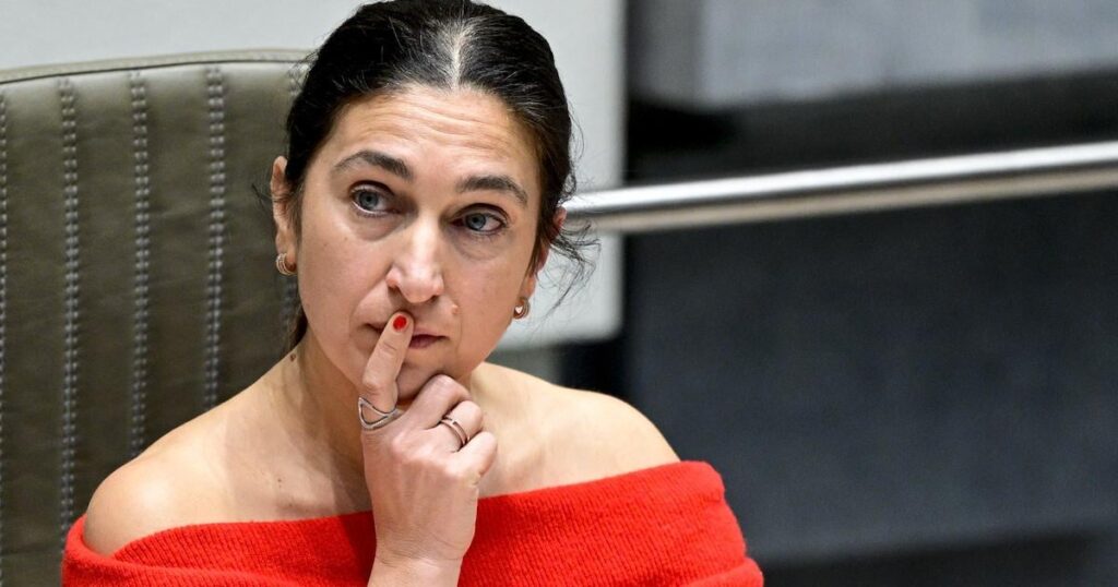 Subsidy to Thomas More from Zuhal Demir (N-VA) leads to hearings, thanks to abstentions from coalition partners Vooruit and CD&V