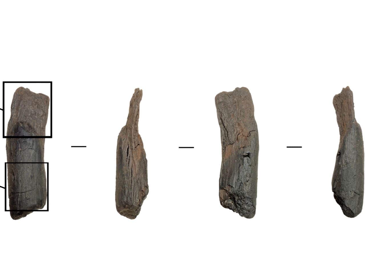 Oldest handheld wooden tools found in Marathousa 1, Greece