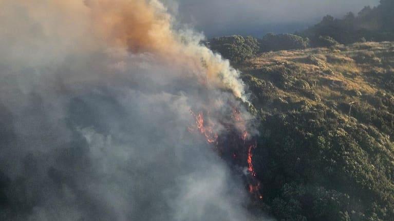 On Waitara Rd in Hawke's Bay, around 45 FENZ and forestry workers were fighting an approximately 22ha fire which broke out yesterday. 