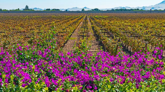 Beat the winter blues with these restorative escapes Beat the winter blues with these restorative escapes