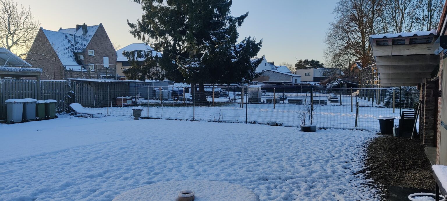 It looks pretty cold, can someone go check it out?