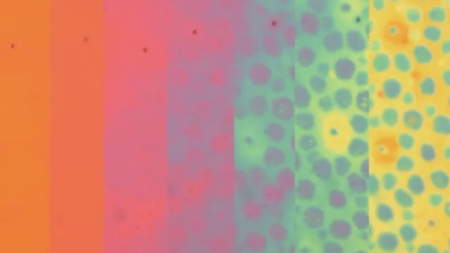 New artificial skin is the master of disguise