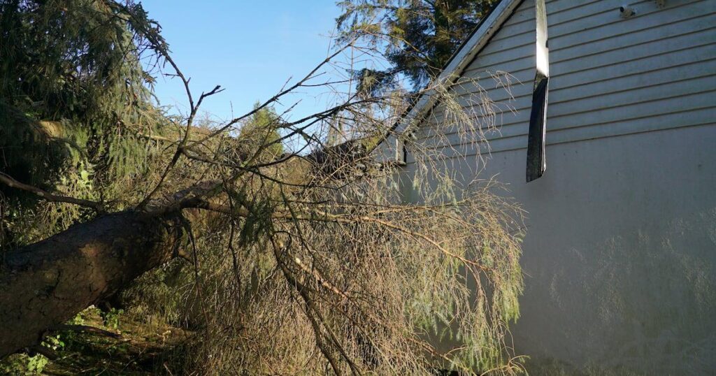 All households in Ireland to get emergency preparation booklet in coming weeks