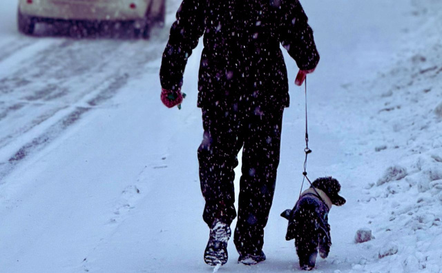 Bulgaria: Bulgaria Faces Sharp Weather Shift on Thursday: Rain, Snow, and Strong Winds Expected
