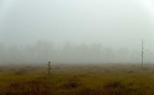 Bulgaria: Cloudy and Foggy Friday Across Bulgaria, Warmer Air Pushes Temperatures Higher