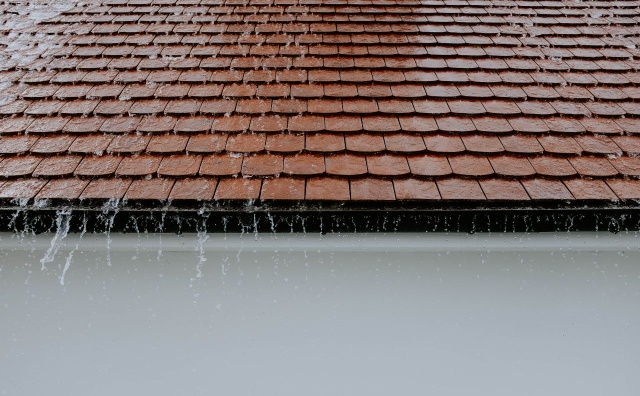 Bulgaria: Bulgaria: Yellow Alert for Rain and Snow on Tuesday