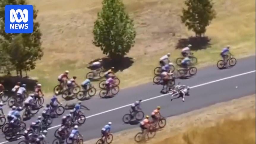 Kangaroo takes out Tour Down Under peloton, Jay Vine claims overall victory
