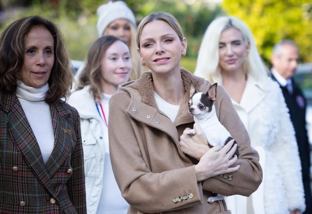 princesse charlene dog copy