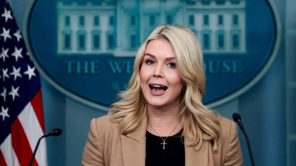 “You left-wing puppet”: Trump spokeswoman insults Irish reporter for critical question about ICE operations “You left-wing puppet”: Trump spokeswoman insults Irish reporter for critical question about ICE operations