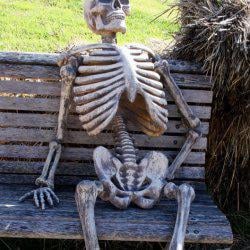 I'm waiting for the dealers to lower the prices they charged during inflation, while everyone is fighting that a higher minimum will raise prices.