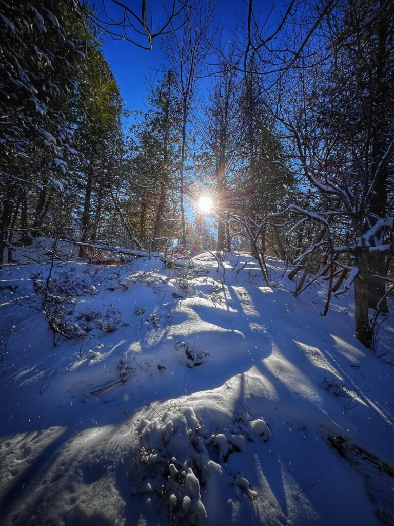 New Year’s Day hike