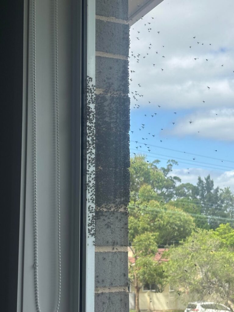 sydney, what fresh hell is this.