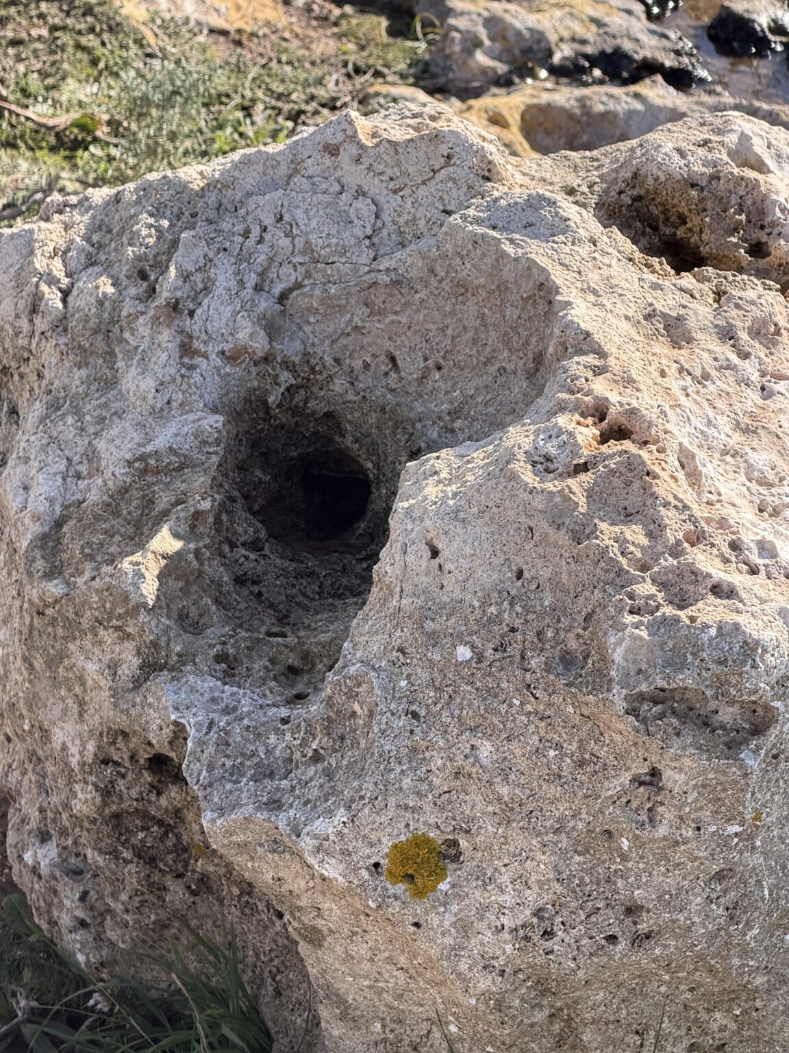 For any visitors be careful not to insert your hand to holes like this. Spiders can nest there.