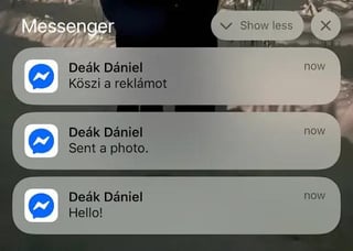 Cock expert Danci harasses Dávid Bedő in a private message after Momentum's new poster campaign targeted him