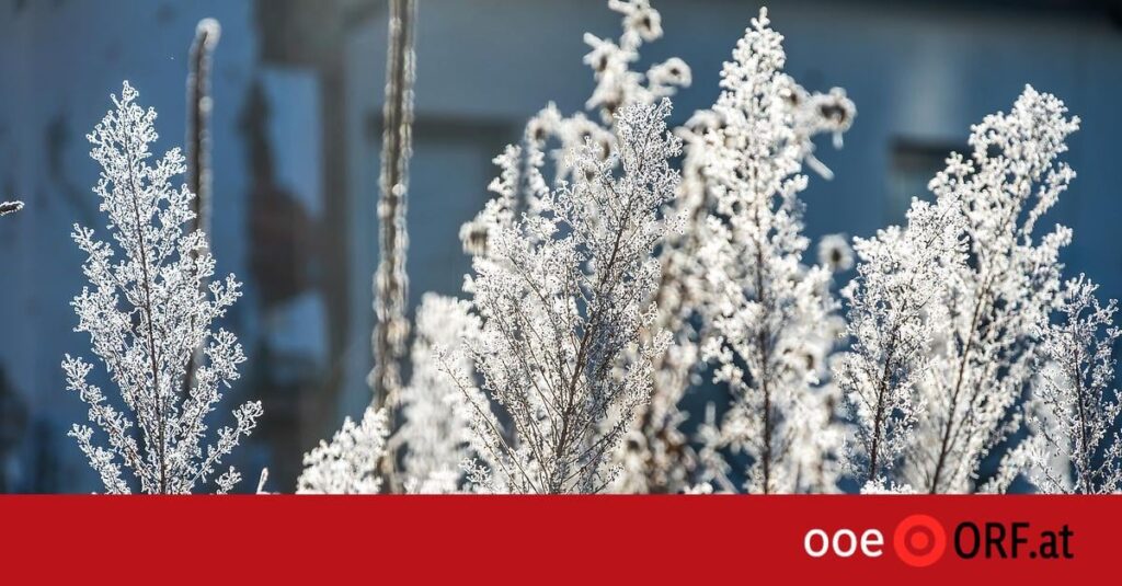 Cold record in the Mühlviertel