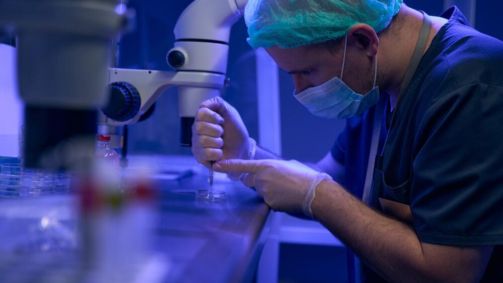 הפריה חוץ גופית