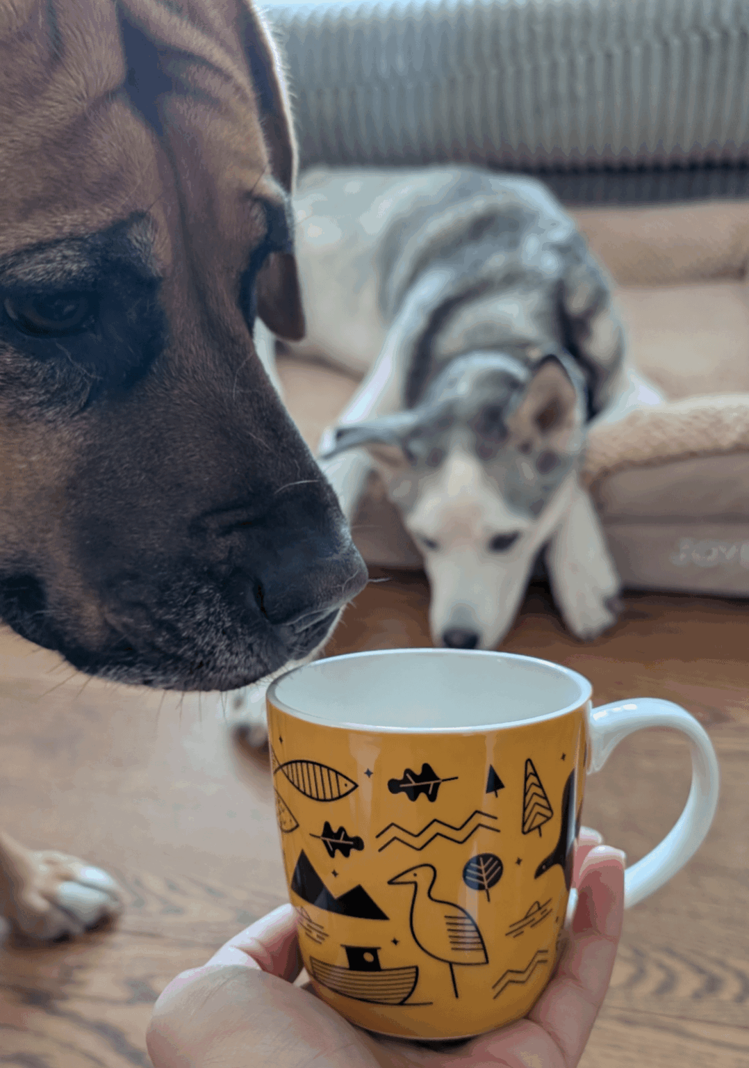 Update on 'Looking For a Miracle' Atlanterhavsparken Coffee Mug