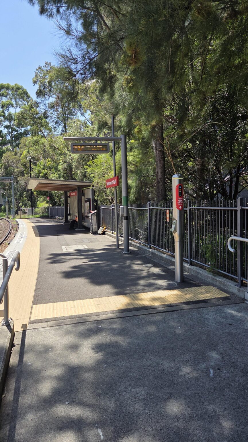 I think we need more than one opal reader at Wentworth Park...