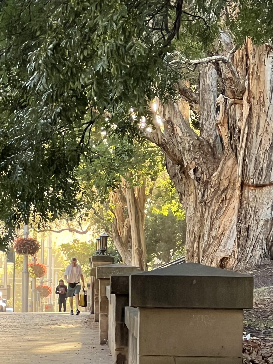 Early morning street scene