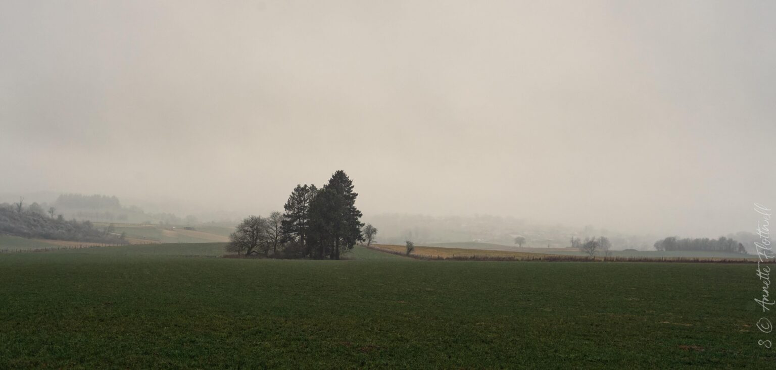 Eislek fog 16:30 today