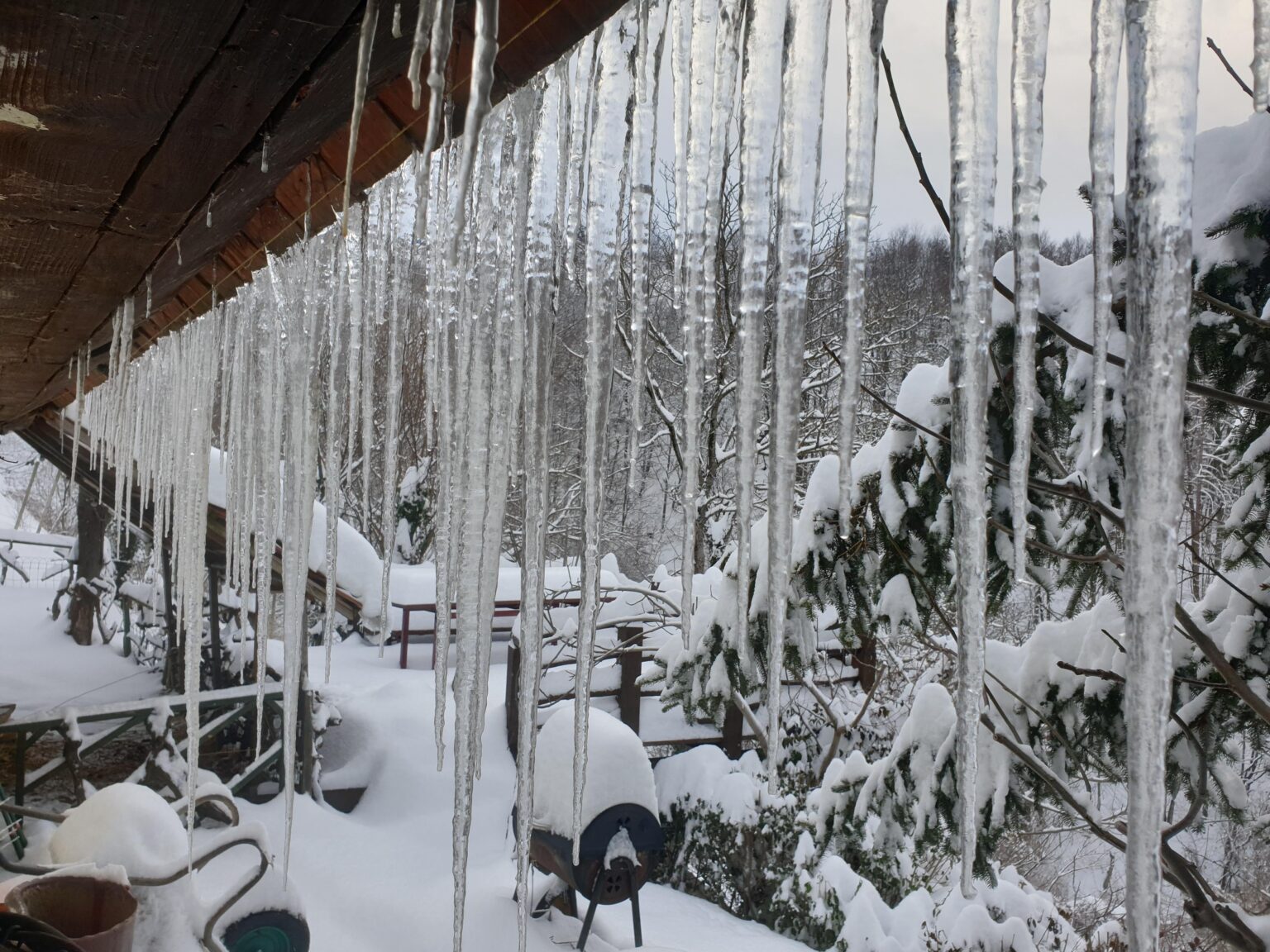 When was the last time you saw ice candles? This morning at -12 😅