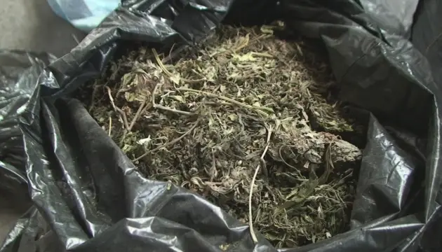 Serbia's Largest Marijuana Seizure Marks Historic Drug Bust
