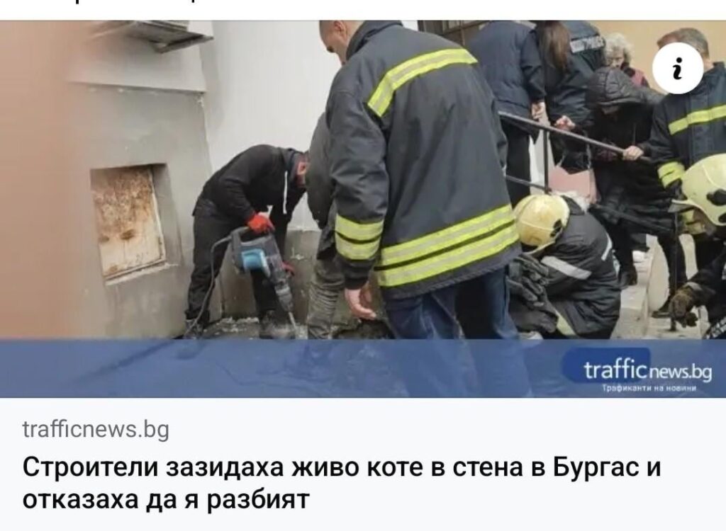 Unpleasant situation in Burgas 😰