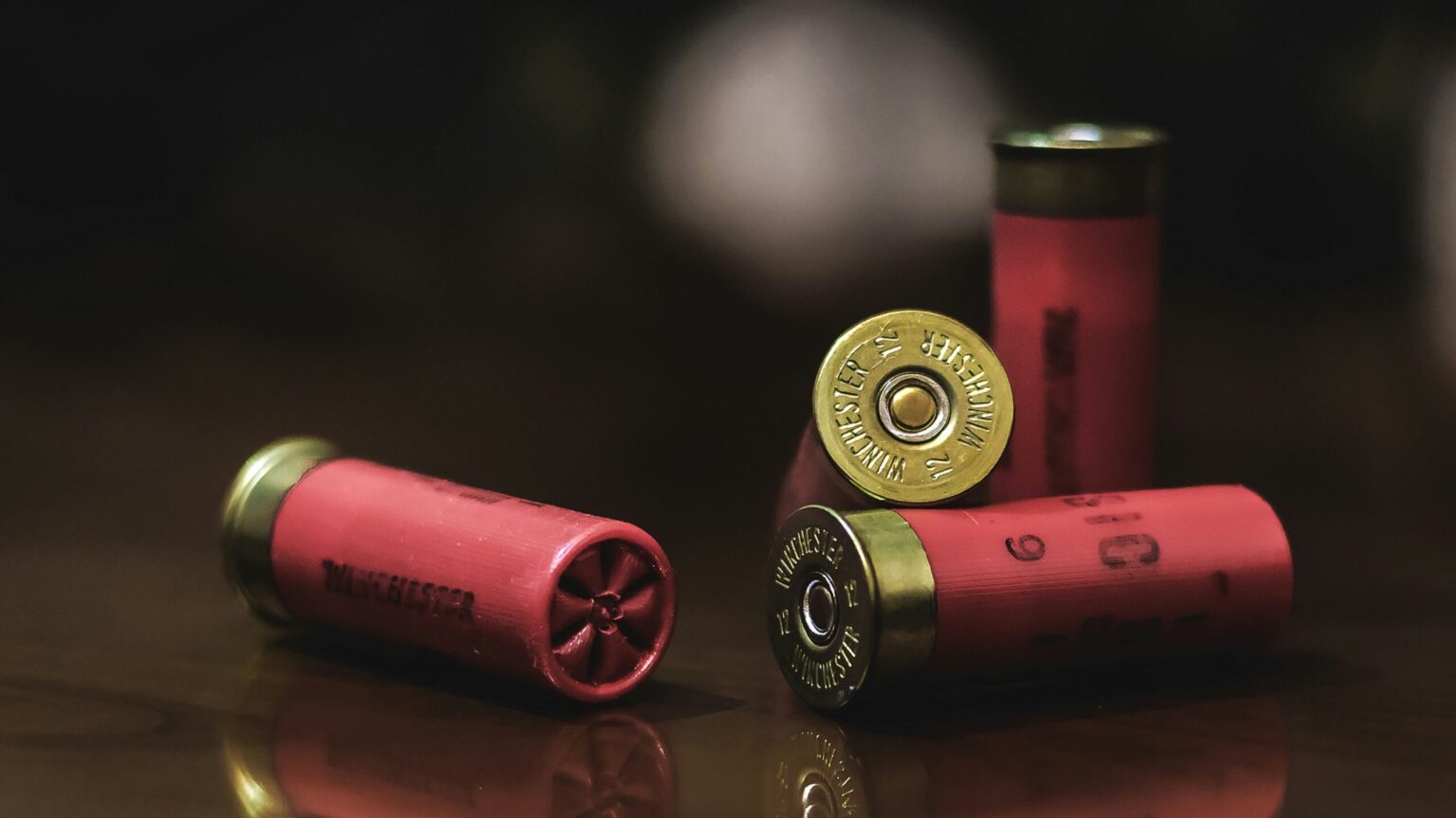 Over 1,000 Migrants Reported for Owning Illegal Firearms in Austria ━ The European Conservative Shotgun shells -- illustration of illegal firearms (Unsplash)
